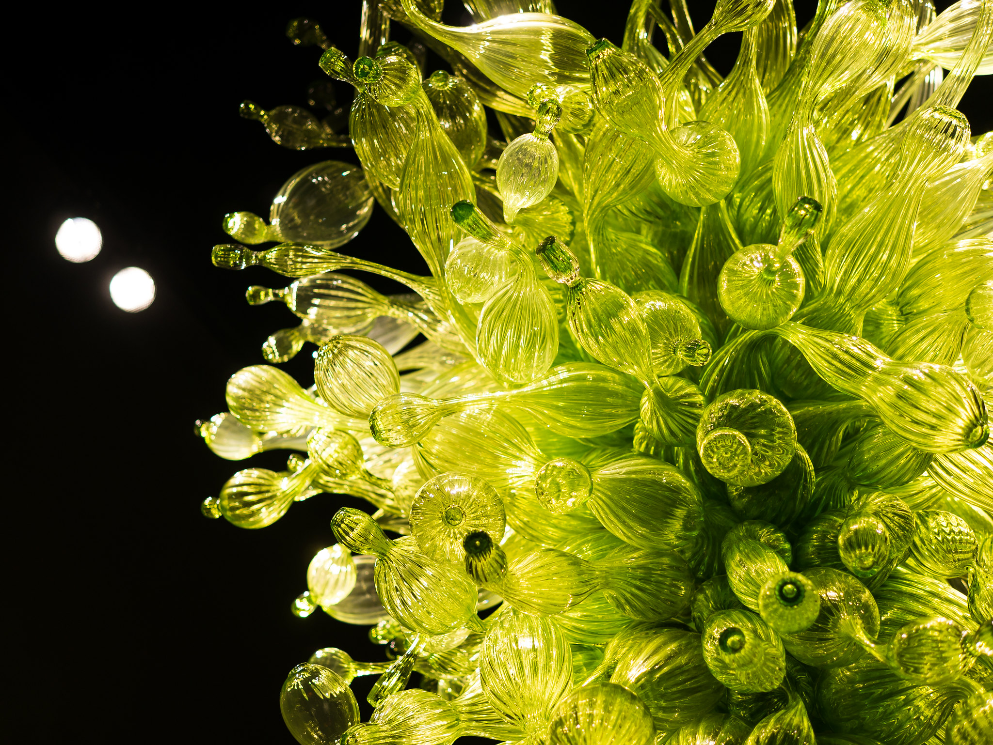 Chihuly Garden and Glass