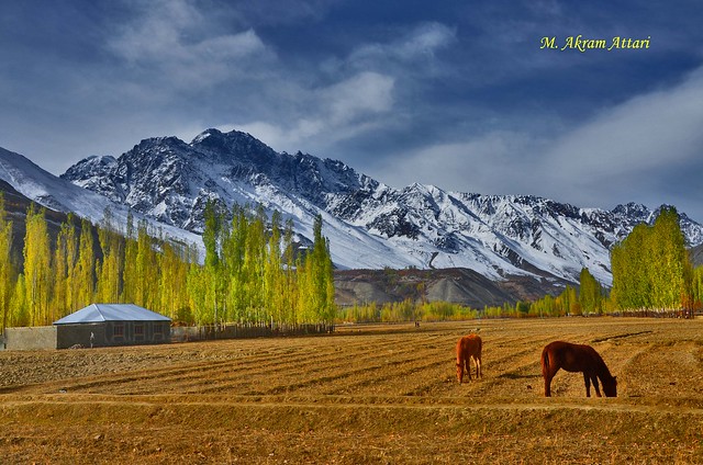 Phandar Valley, Ghizer GB (Pakistan)