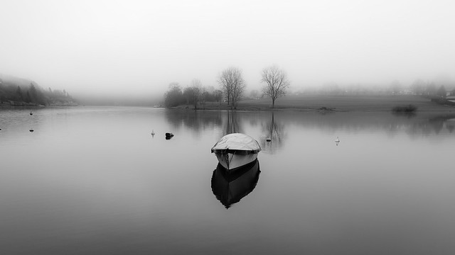 Brouillard sur le lac