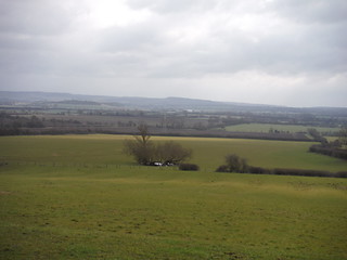 Chiltern View from field at Helsthorpe Farm SWC Walk Cheddington to Leighton Buzzard