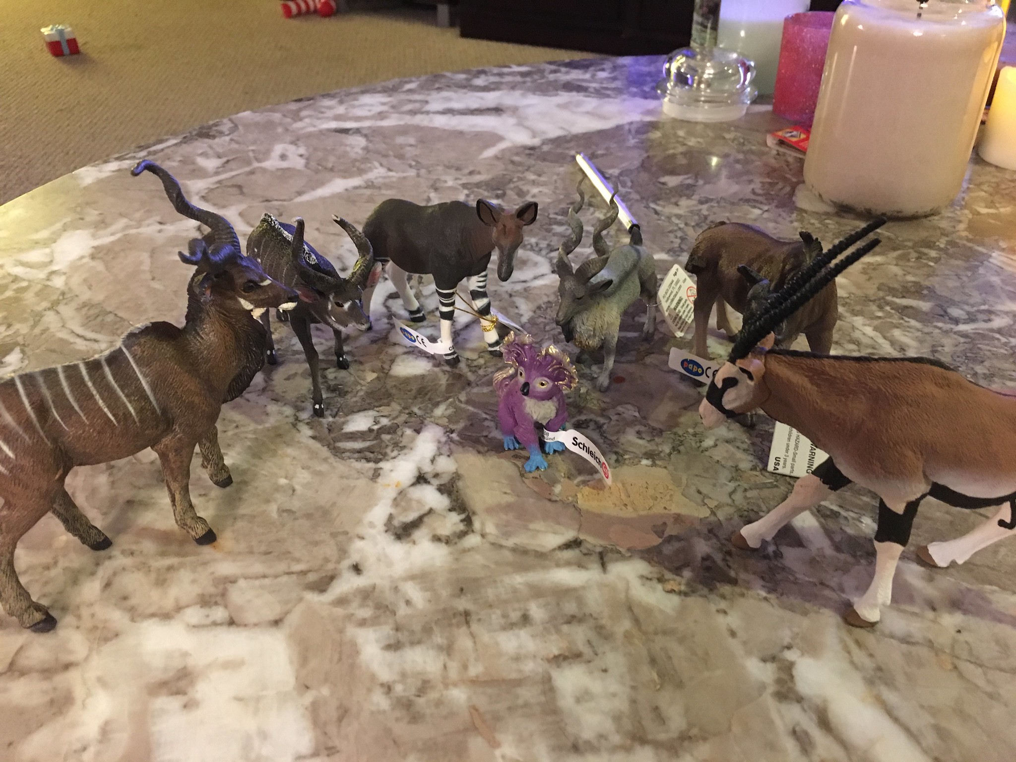 Week 2 of recovery, Allison's animals are getting restless