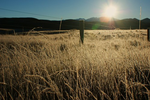 Morning frost by PhilBee NZ (social historian) - 9.6m views, Near Lake Donne, Canterbury high country