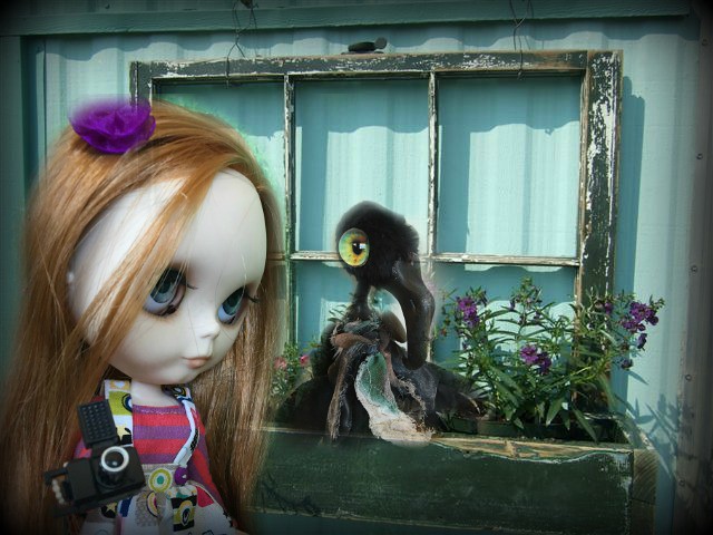 Pippa and the crow...