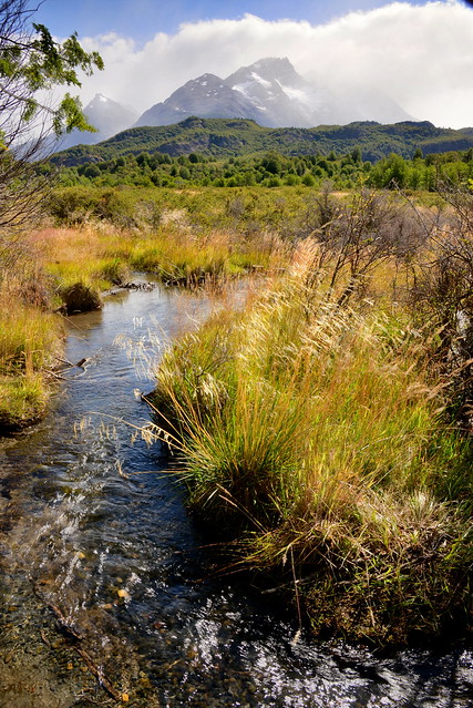 A stream runs through, Torres del Paine National Park, Cihle