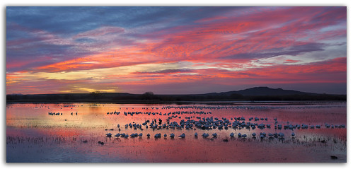 sky newmexico sunrise socorro bosquedelapache earthday