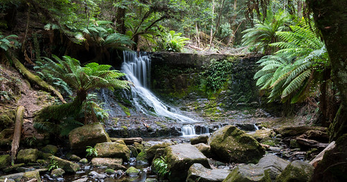 waterfall australia falls tasmania wilderness horseshoefalls mtfieldnationalpark slowflow