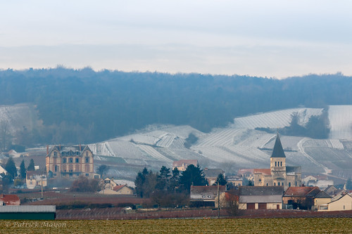 morning winter france cold landscape champagne hiver paysage fr froid matin champagneardenne sacy marne51 alsacechampagneardennelorraine alsacechampagneardennelorrain