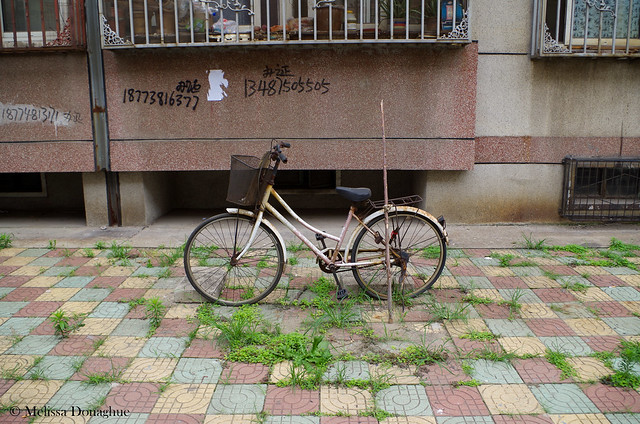 Bike_Tangshan_China_2015_© Melissa Donaghue-9204
