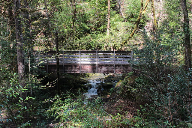 Bridge over Nancy Creek