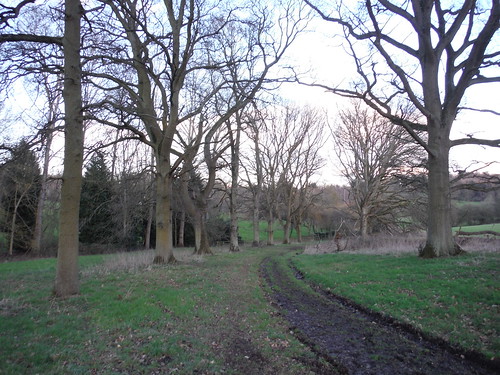 Tree-lined track, Midgham Park SWC Walk 117 Aldermaston to Woolhampton (via Stanford Dingley)