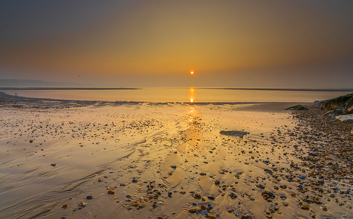 sea sun seascape beach rock sunrise seaside sand seagull solent lowtide