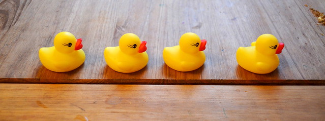 Ducks In A Row... Literally [Sevenoaks - 20 July 2015]