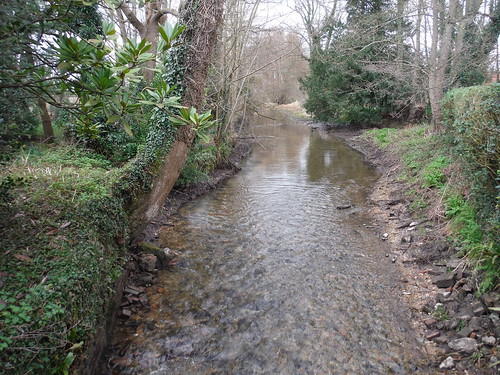 The Pang River, Stanford Dingley SWC Walk 117 Aldermaston to Woolhampton (via Stanford Dingley)