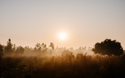 morning travel india rural sunrise landscape farming fields punjab dearth in hoshiarpur