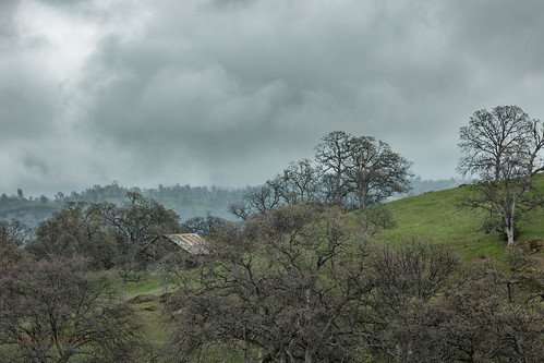 california trees sky mist clouds landscape us haze oak unitedstates farm backroads rollinghills orland driveabout californiagreen grantgroberg
