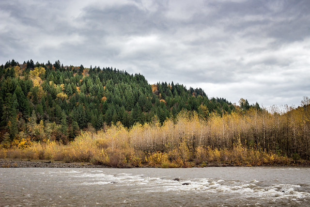 Sandy River, Autumn