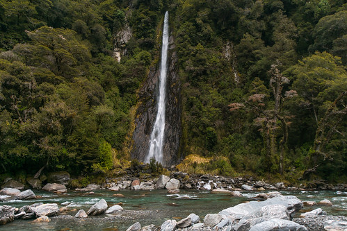 newzealand water waterfall bush rainforest nz southisland thundercreekfalls haastriver neargatesofhaast