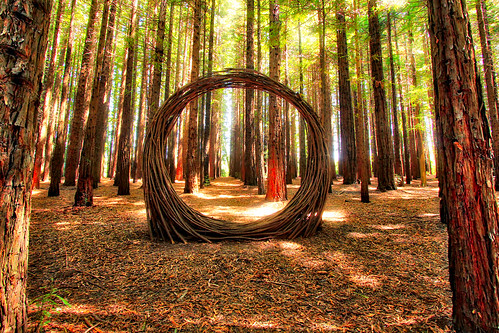 sculpture redwoodforrest ephemeralart eastwarburton daviddigapony