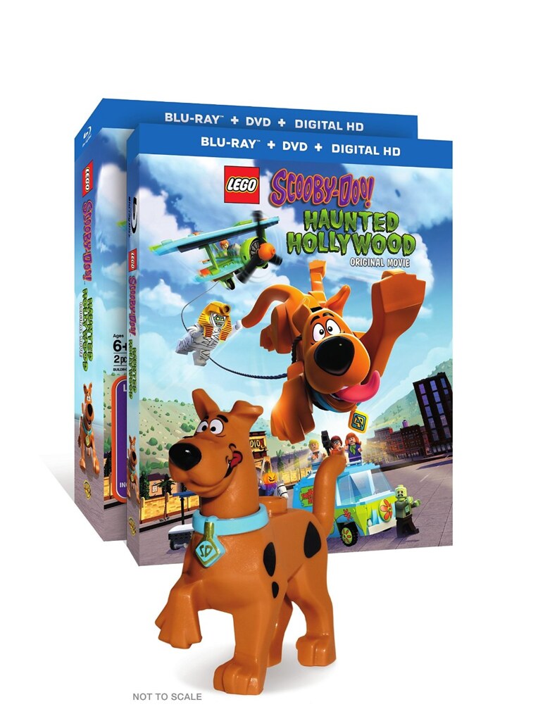 Lego: Scooby-Doo! Fiesta Playa De Blowout [DVD]: Animación, Animación: Películas Y TV | lagear.com.ar