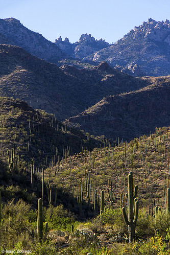 uploadedviaflickrqcom mountains shadows desert sunset rocks cactus sabinocanyon catalinamountains tucson arizona canonrebelt4i unitedstates america usa skyislands southernarizona
