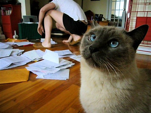 you better do your taxes Mama