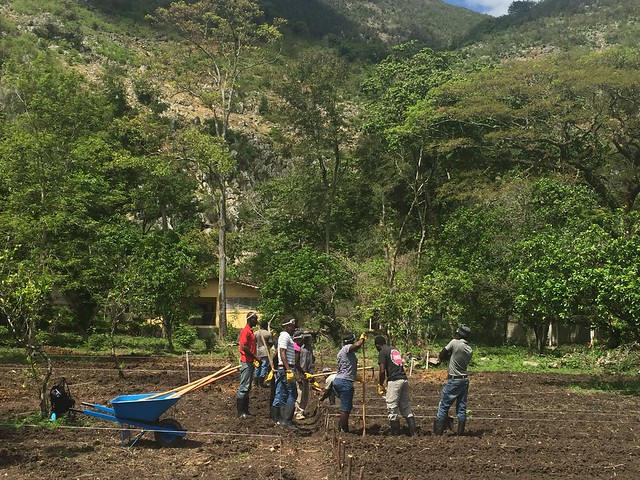 Farmers in Haiti participating in new agriculture classes