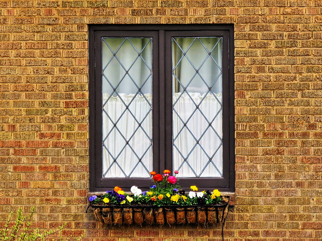 1 Window with White Curtains