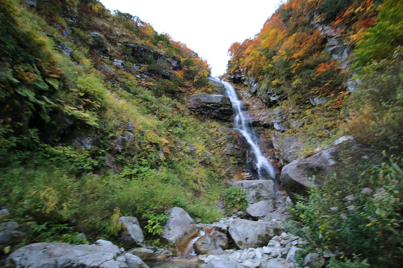 水平歩道