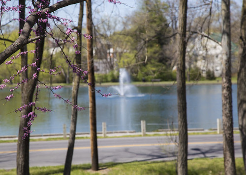 Spring Has Sprung on Campus