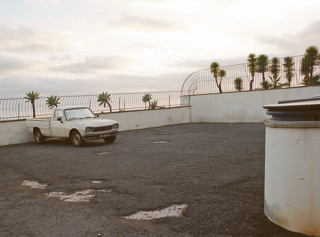 Palm trees & car, Madeira, April 2015 - from 