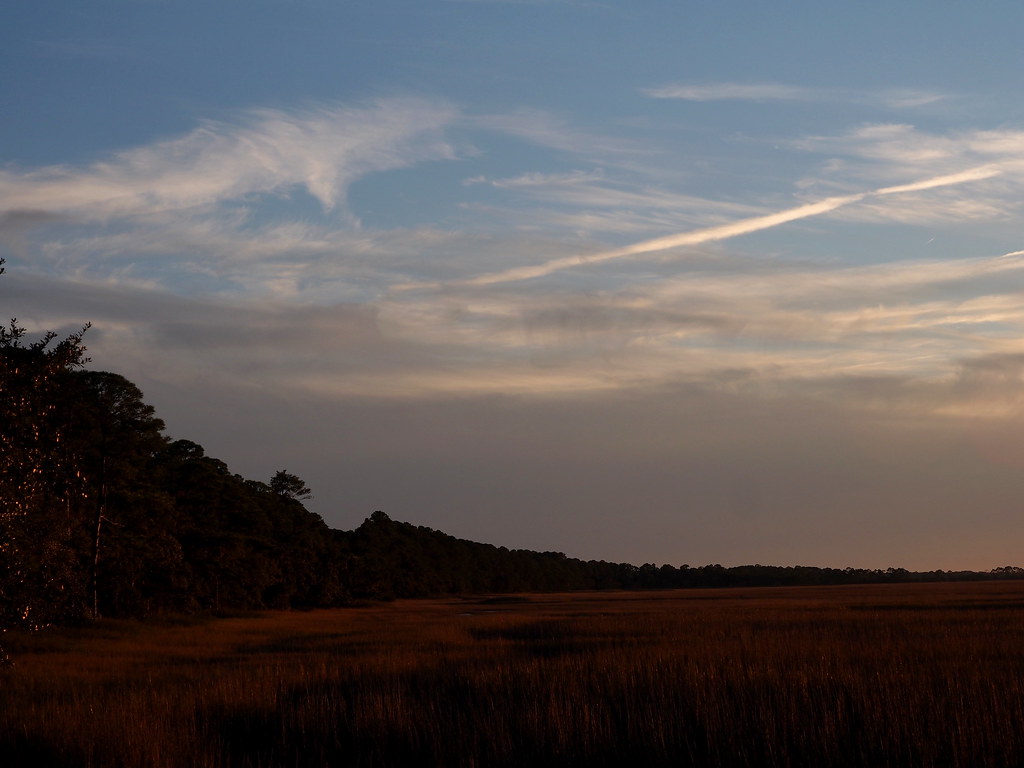marsh | OLYMPUS DIGITAL CAMERA | carlinsc | Flickr