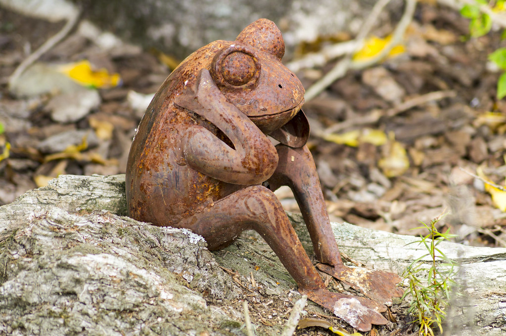 Rusty Frog