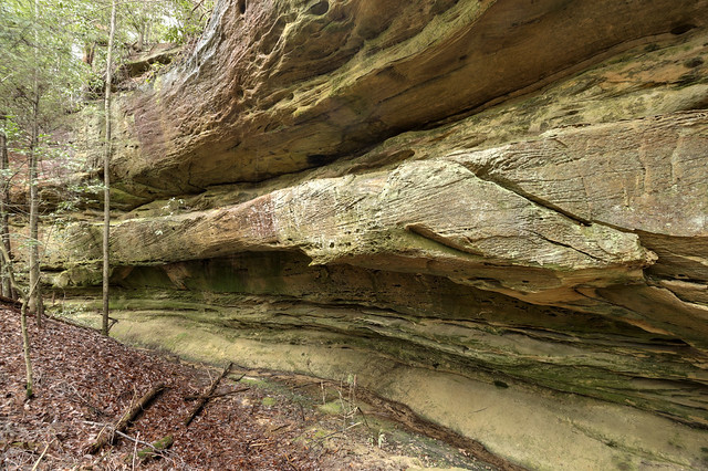 Rockcastle Conglomerate cliff, Middle Creek trail, Big South Fork NRRA, Fentress County, Tennessee 1
