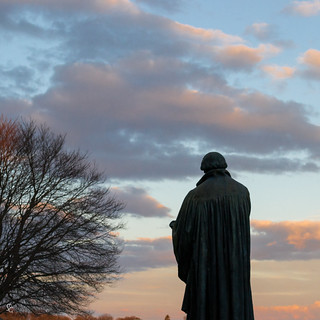 76/366 - Luther Contemplating Dusk