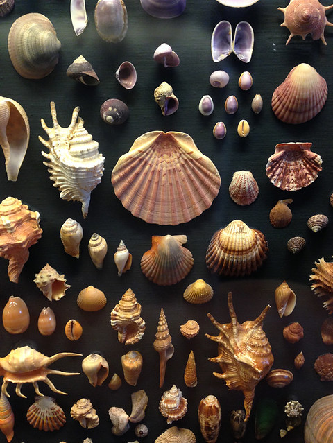 Gothenburg shells