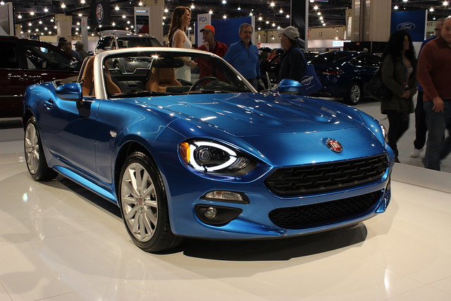 Image of 124 Spider