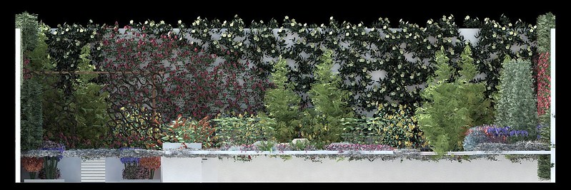 minimalist garden_frontal view 2
