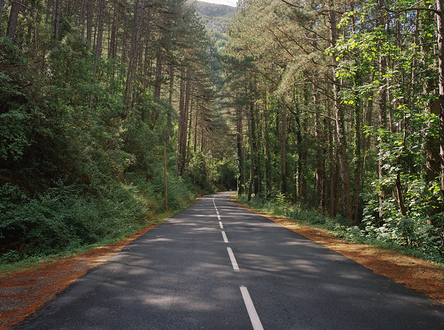 Road in Cevennes, August 2015
