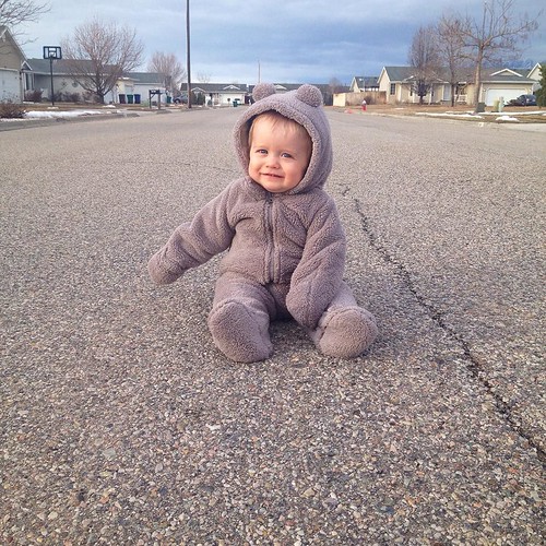 cutest little bear + we're loving this weather! #springfever #walksfordays | by hutchings_hannah28