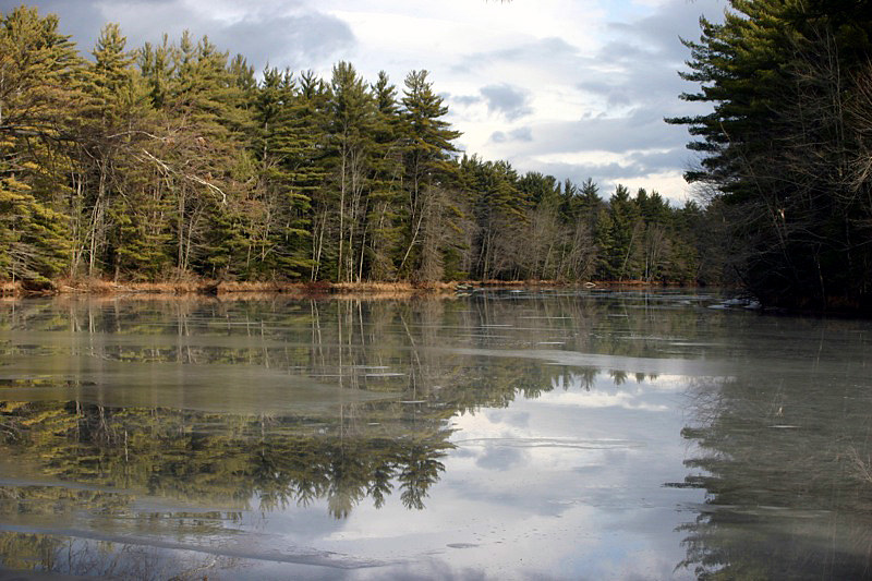 Homestead Trail