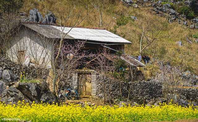 A ethnic minority village in HaGiang