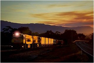 Trains In Tasmania - TR05 + TR13  wallowing in golden light with Train No 34.