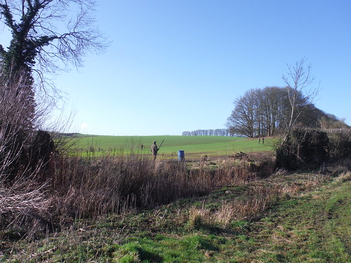 Pheasant Shoot near Wombwell's Farm SWC Walk 191 Haddenham Circular (via Brill)