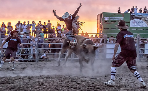 sunset rodeo bullriding 8sec