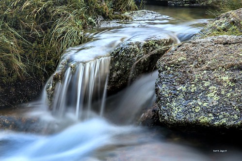 summer beauty creek river landscape geotagged photography stream flickr australia nsw wilderness snowymountains kosciuszkonationalpark perishervalley freeflowing charlottespass spencerscreek markbimagery