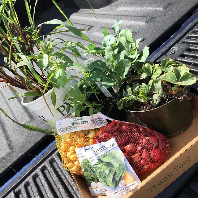 First visit to the garden store this season!