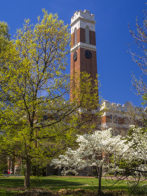 Vanderbilt Springtime Blue & Bloom