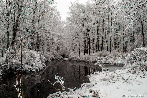 trees winter snow water reflections river outdoors newjersey pond nikon scenery snowy snowstorm scenic wintertime snowfall snowscape ringwood ringwoodstatepark d3100 smack53
