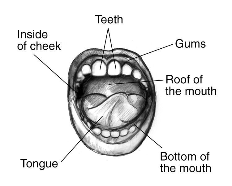 Loading  Lips drawing, Drawing tips, Mouth drawing