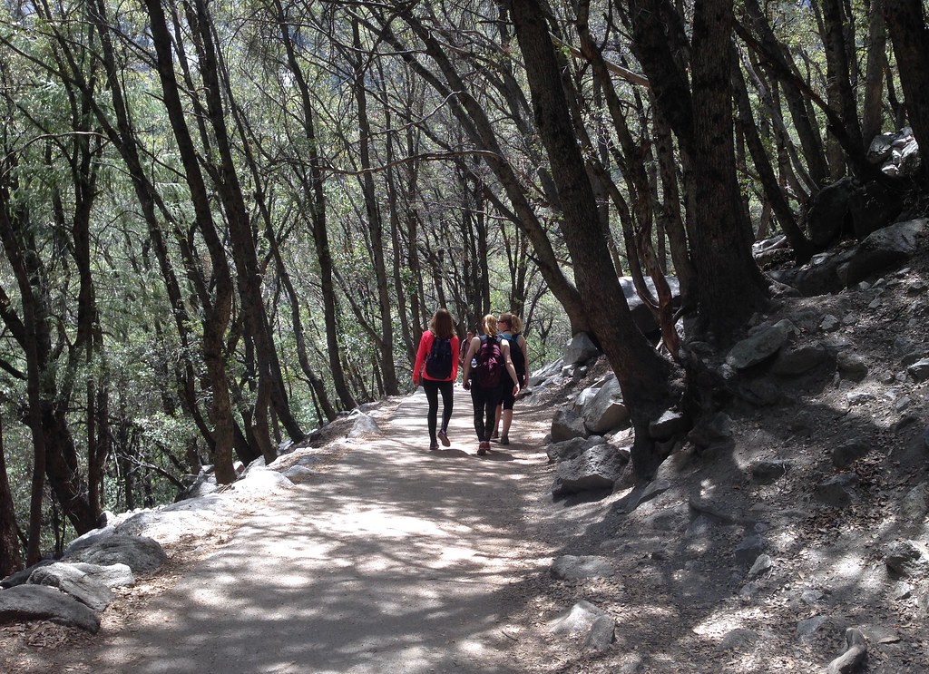 Mist Trail